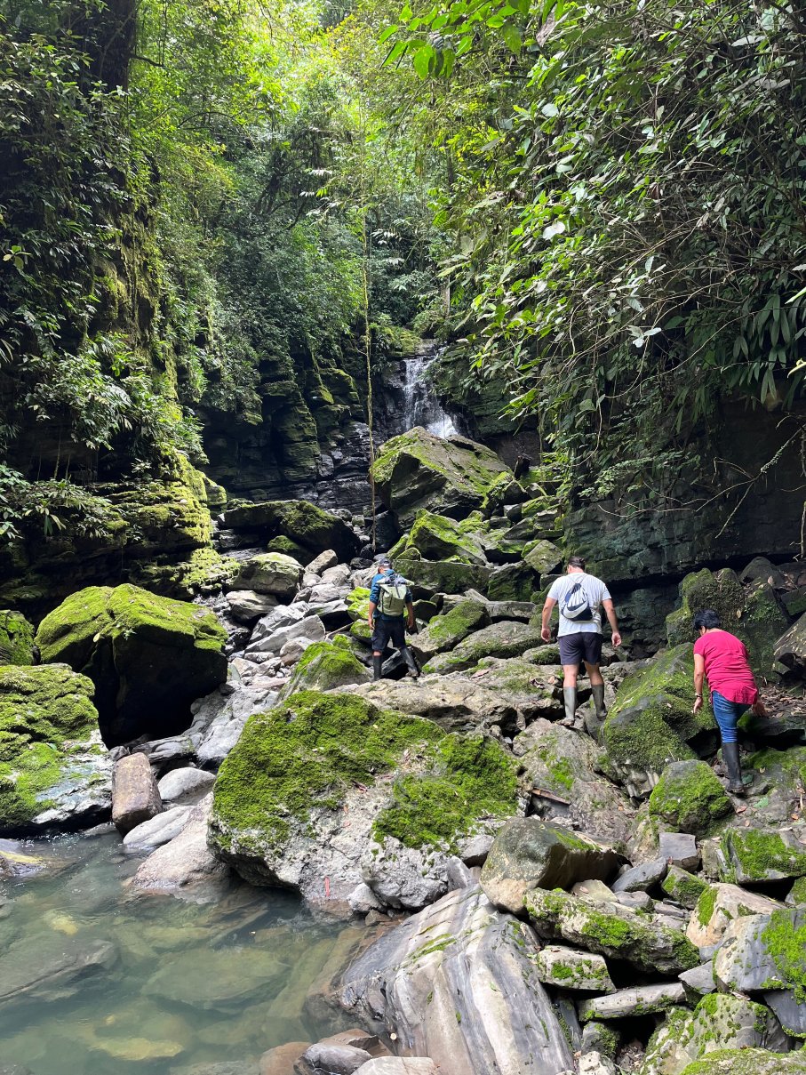EL Jardín Lodge & Spa-官方