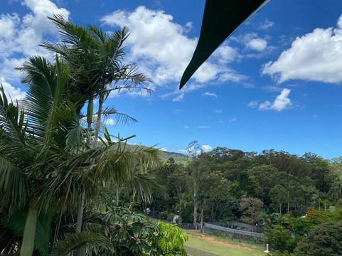 The Big Pineapple-Nambour必去景点