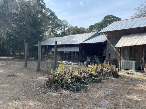 The Lands and Legacies Tour-Cumberland Island必去景点