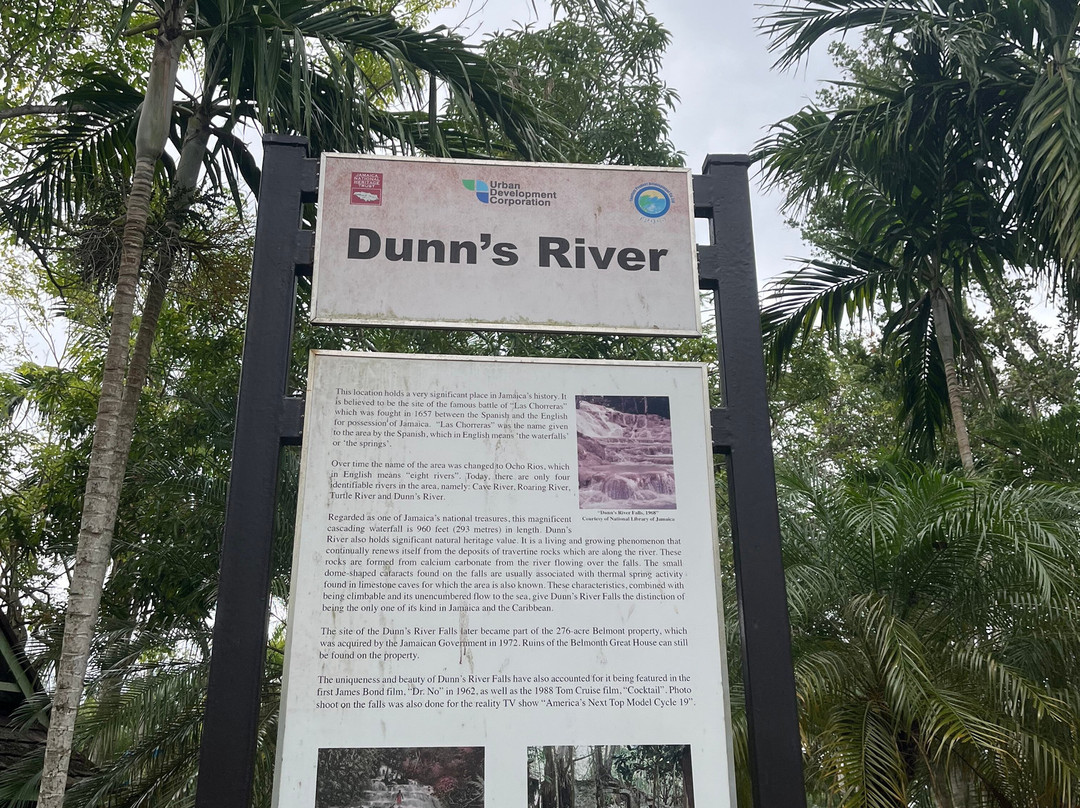 Genius Reggae Jamaica Tours-奥乔里奥斯必去景点