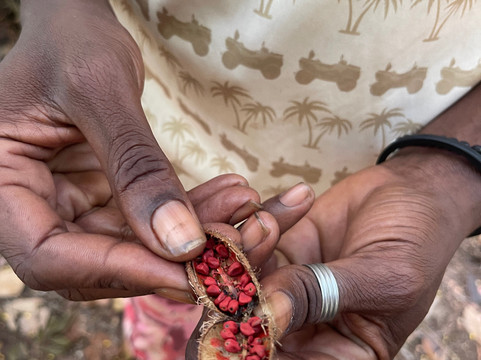Gigi di Zanzibar-桑给巴尔岛必去景点
