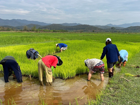 Banthi Tour-南奔必去景点