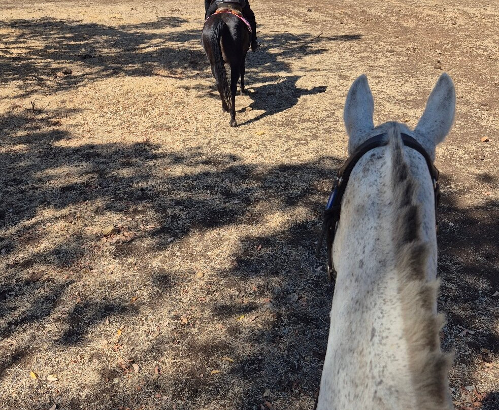 Jarrahdale Equestrian Centre-Jarrahdale必去景点