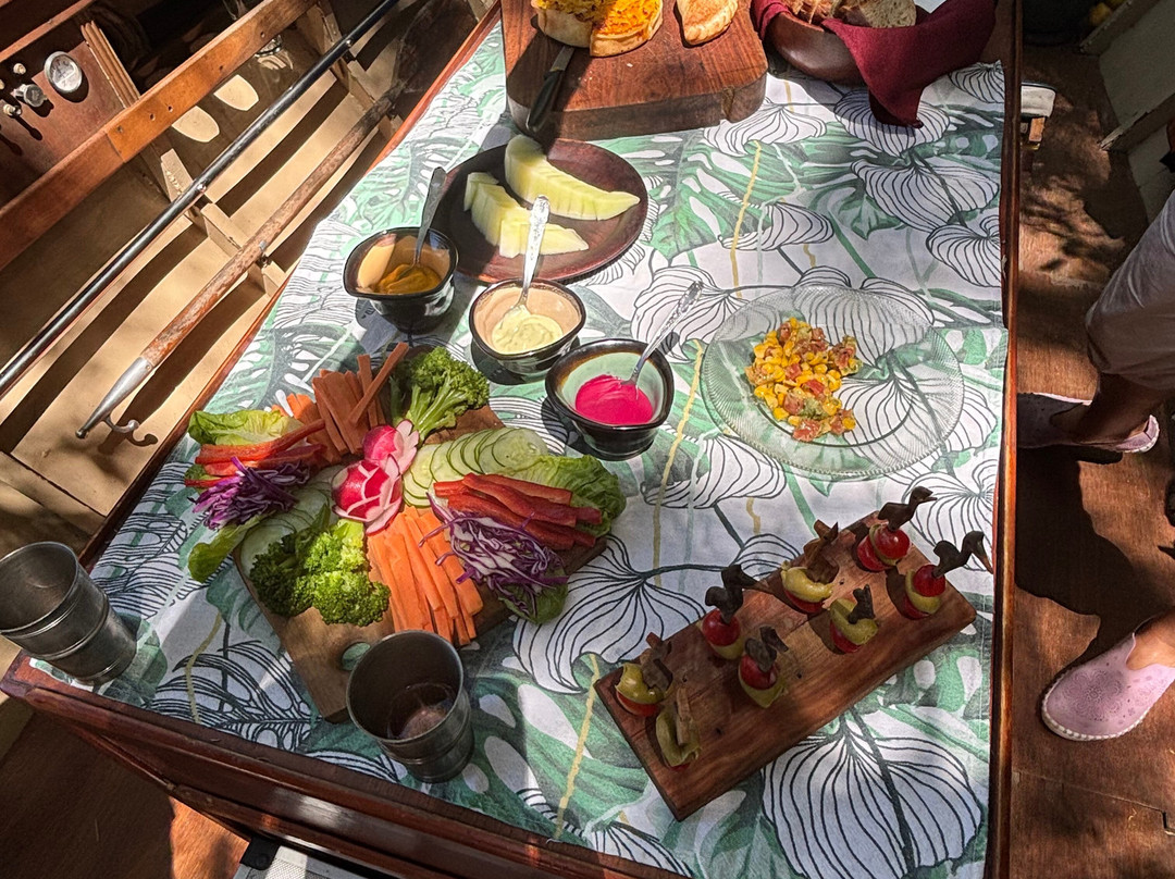 Delta Unplugged-蒂格雷必去景点