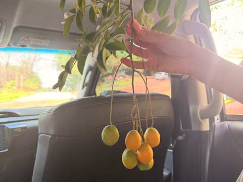 Bodin Transfer-巴雷里尼亚斯必去景点