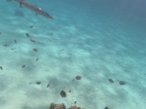 Crazy Crab Private Boat Charters-Camana Bay必去景点