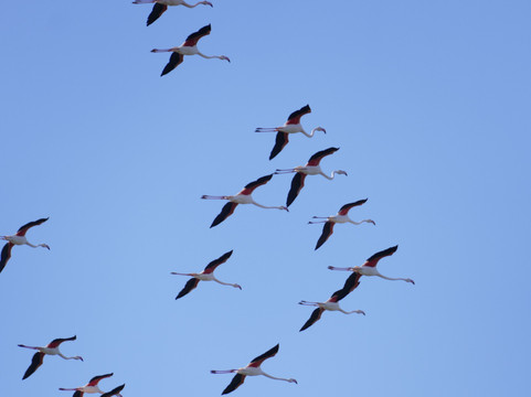 Riserva di Vendicari-诺托必去景点