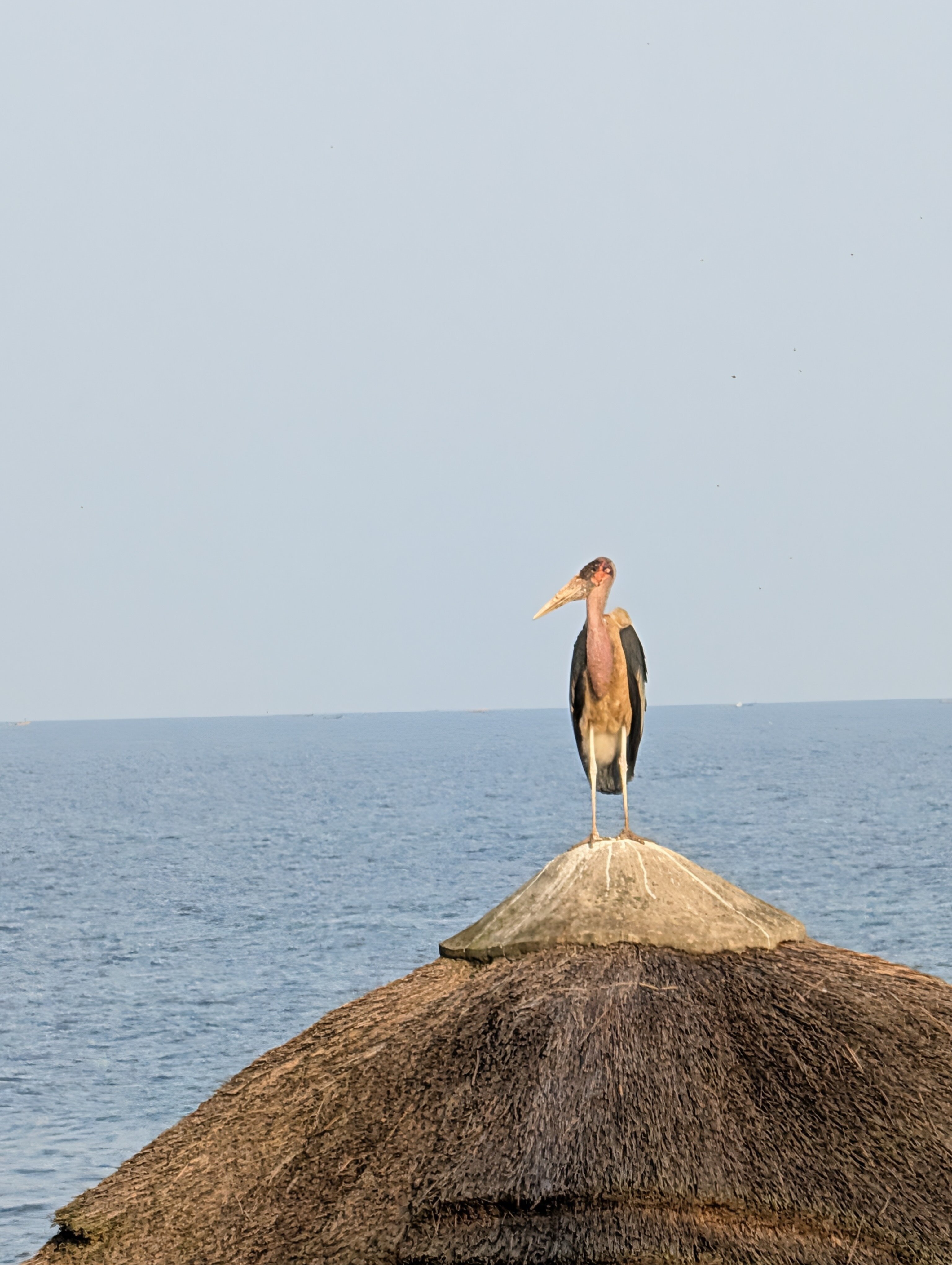 恩德培万豪Protea酒店-浴室