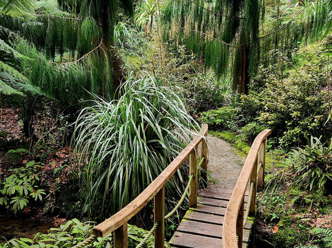 Glendurgan Garden-法尔茅斯必去景点