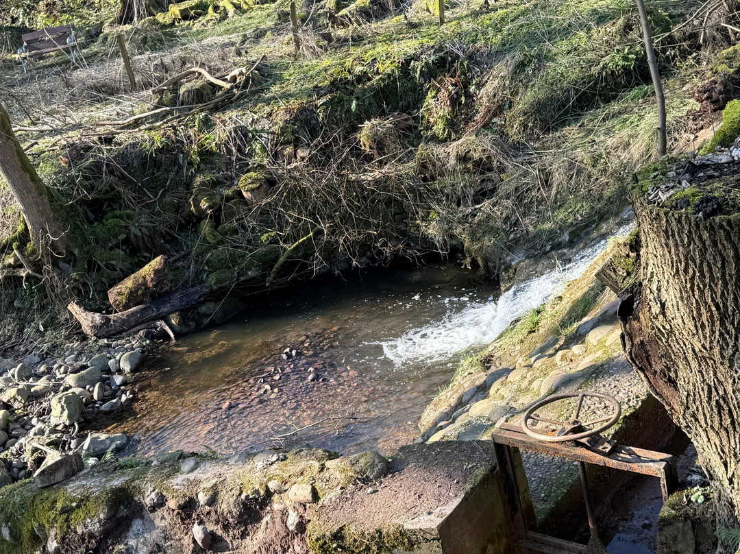 Mill Of Benholm-Johnshaven必去景点
