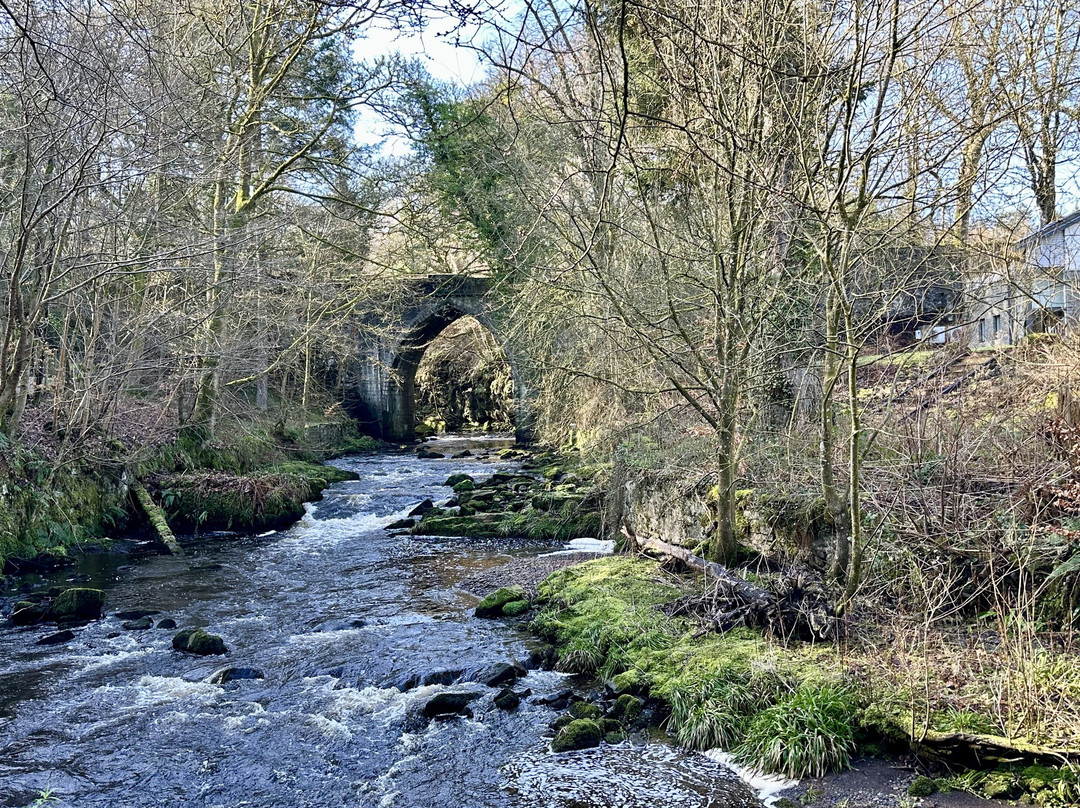 克罗斯巴斯吉城堡主图