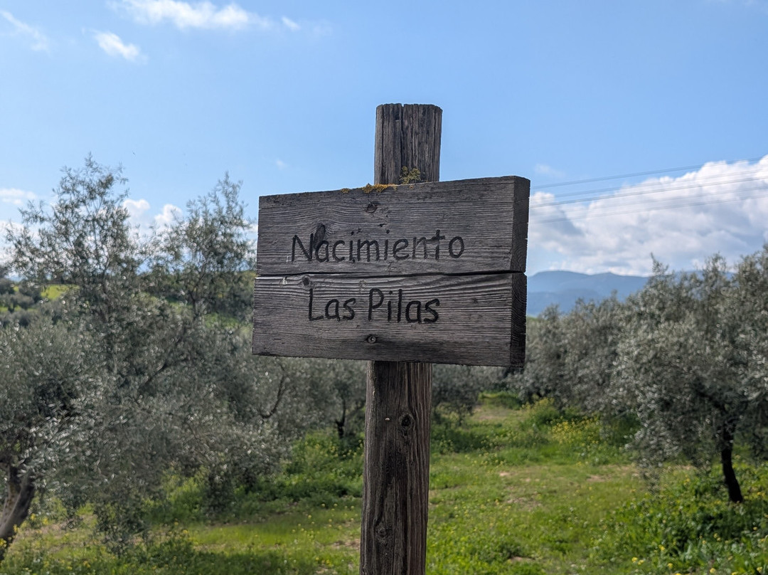Molino de las Pilas主图