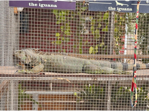 Japalouppe Equestrian Centre-Talegaon必去景点