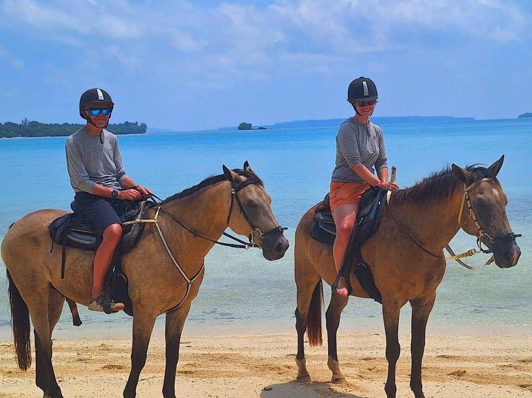 Santo Horse Adventures-卢甘维尔必去景点