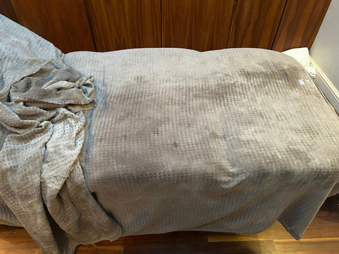 赖德湖滨公园水疗酒店