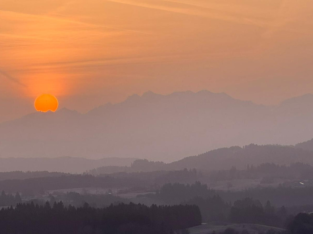 米特堡卫塔酒店主图