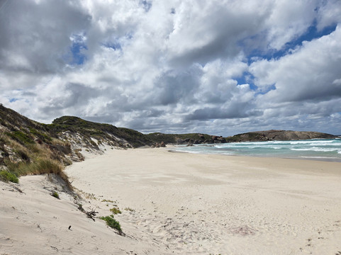 Wow Wilderness Ecocruises-沃泊尔必去景点