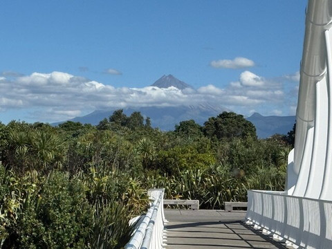 Te Rewa Rewa Bridge-新普利默斯必去景点