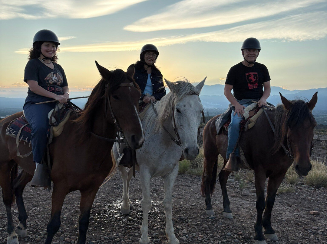 Los Pingos Horse Riding-Godoy Cruz必去景点