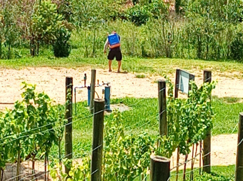 Goyah Vinhos E Vinhedos-Rancho Queimado必去景点