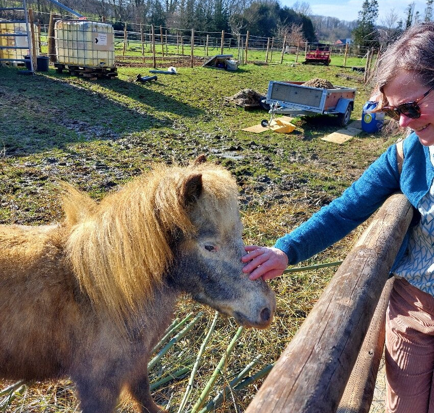 Vlooybergtoren-Tielt Winge必去景点