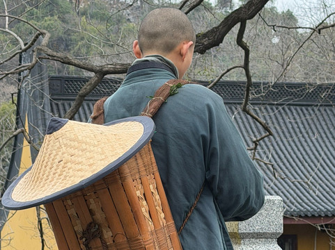 龙井茶田-杭州市必去景点