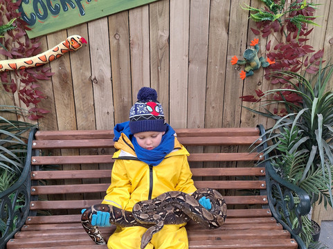 Cockfields Farm Park-Ashton-under-Lyne必去景点