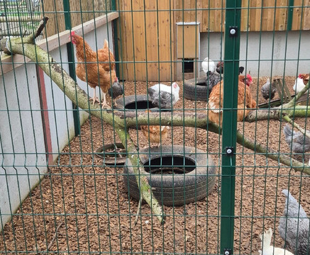 Mead Open Farm-Billington必去景点