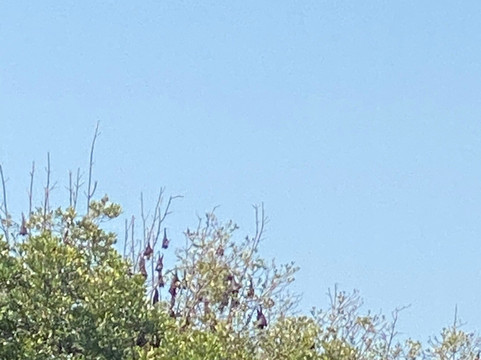 Tung Prong Thong-Ban Pak Nam Krasae必去景点