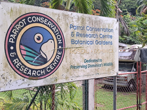 Dominica Botanic Gardens-罗索必去景点