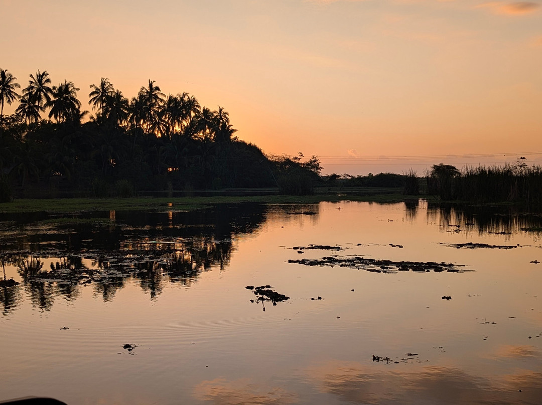 Kalametiya Bird Watching & Ecotourism-Kalametiya必去景点
