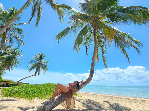 Maragogi Tour-Maragogi必去景点