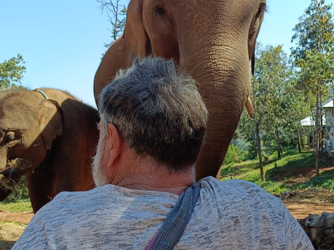 Elephant Special Tours-清迈府必去景点