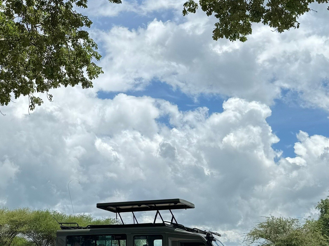 Nature's Land Safaris & Rentals-姆万扎必去景点