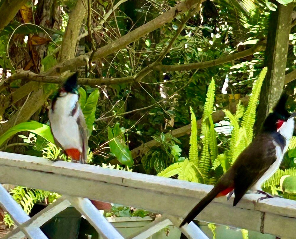 Maison Eureka-毛里求斯必去景点