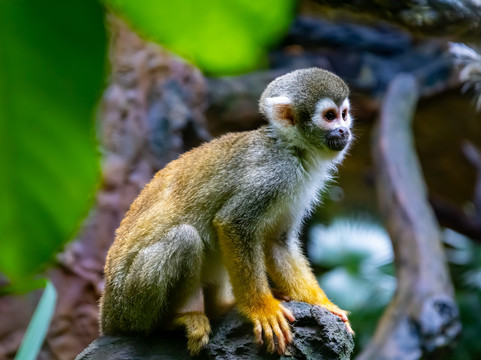 El Pantanal-瓜亚基尔必去景点