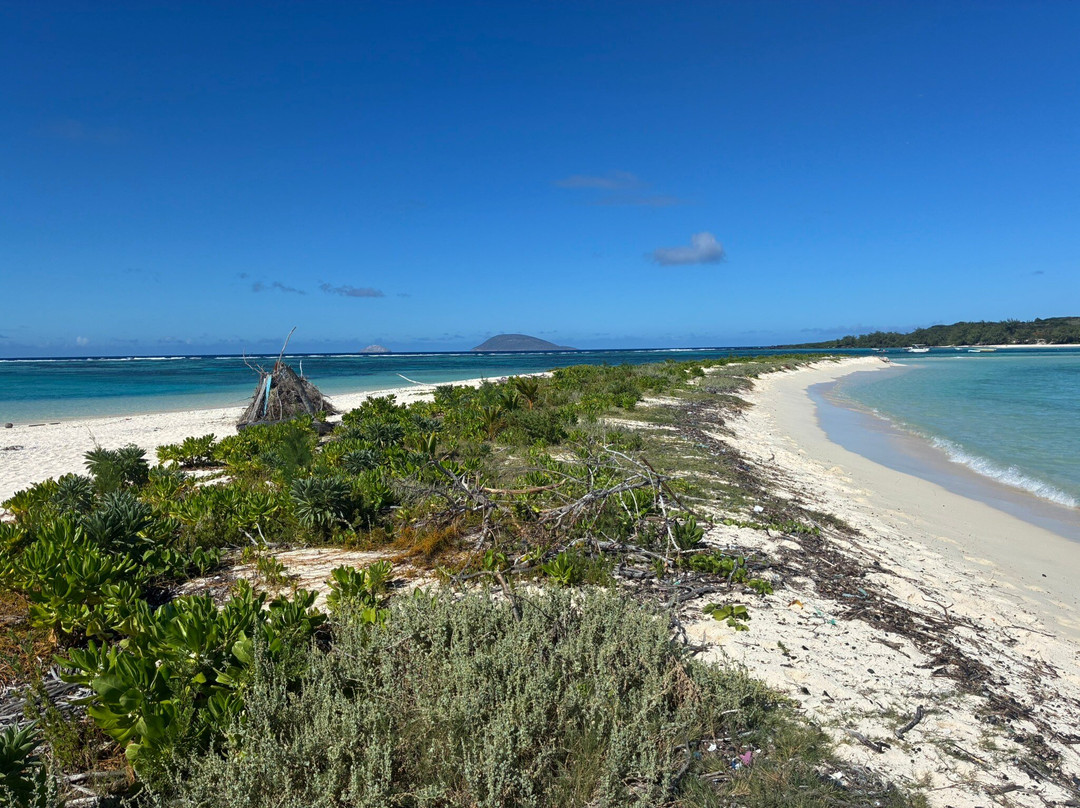 La Mouette Martial-开普马欧呵必去景点