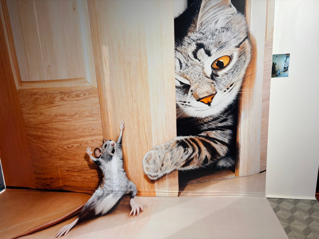 MiM - Muzeul Imaginației Maramureș-Sighetu Marmatiei必去景点