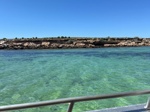 Baird Bay Experience-Bairds Bay必去景点