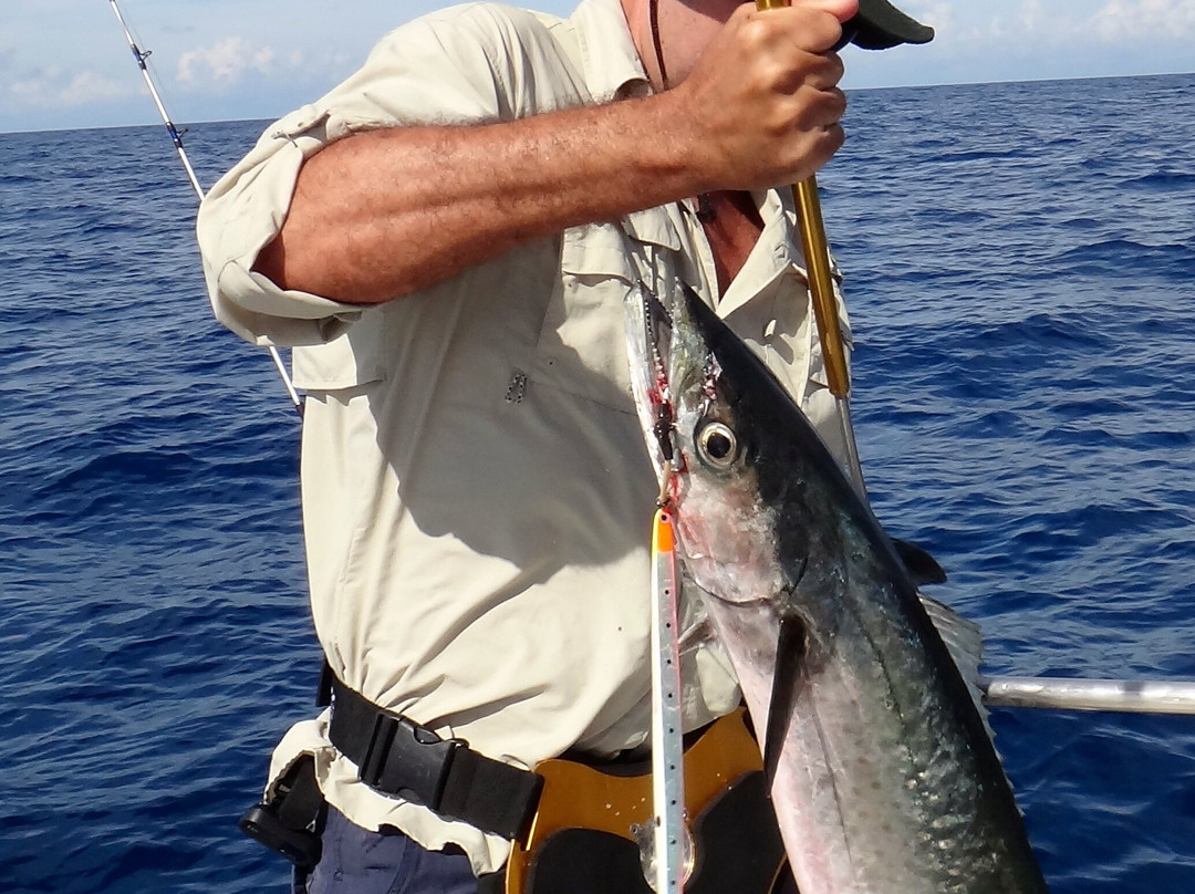Porto Pesca-Porto Seguro必去景点