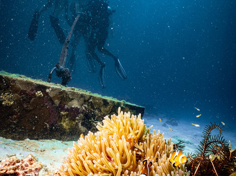 Forra Diving - Day Tour-丽贝岛必去景点