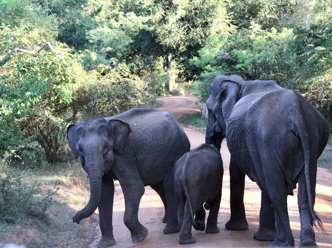 Journey Lanka-Bandaragama必去景点