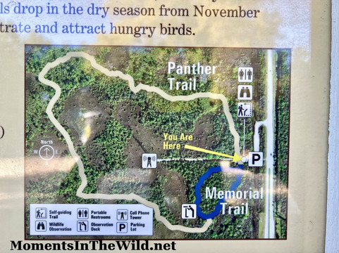 美洲狮国家野生动物保护区-Immokalee必去景点