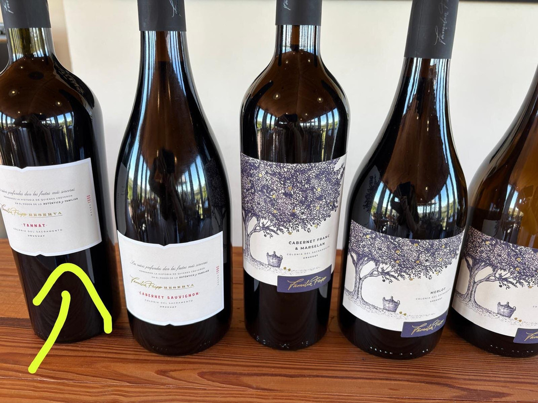 Colonia Department旅游景点-Fripp Viñedos Y Bodega