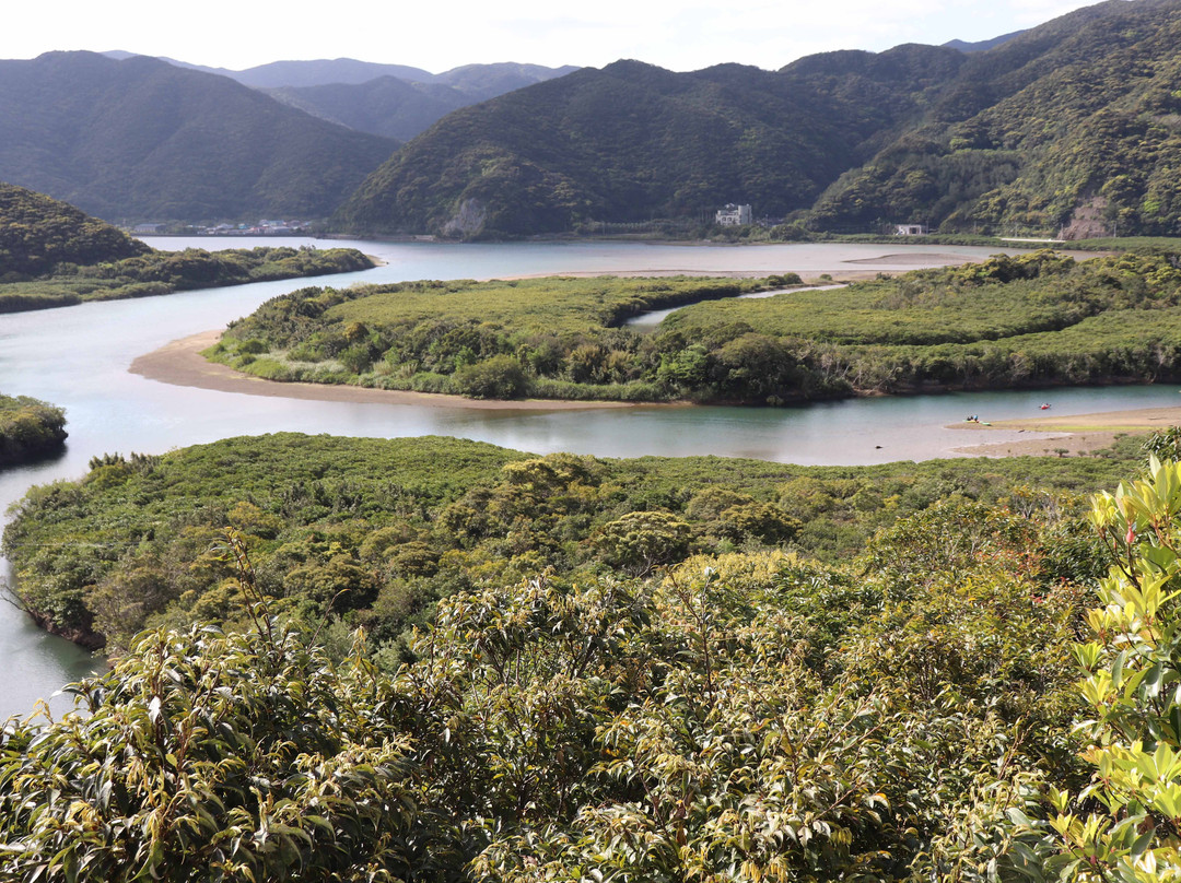 Mangrove Observatory-奄美市必去景点