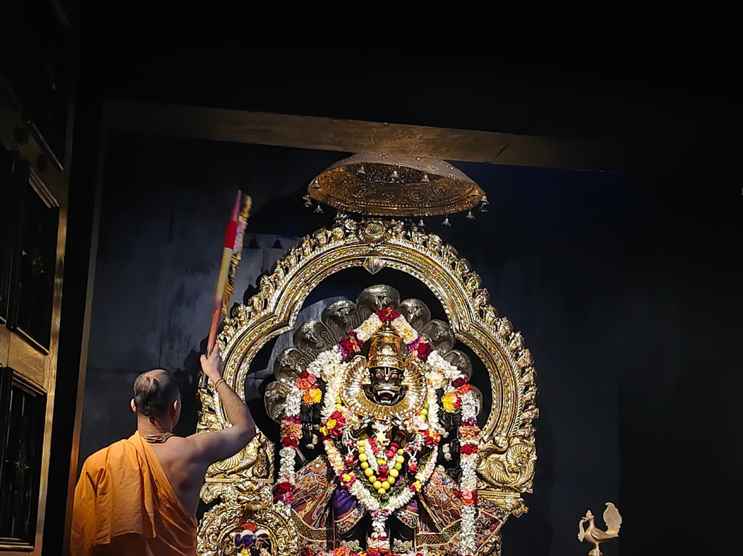 Achyuta Travel Mayapur & Tours-Mayapur必去景点