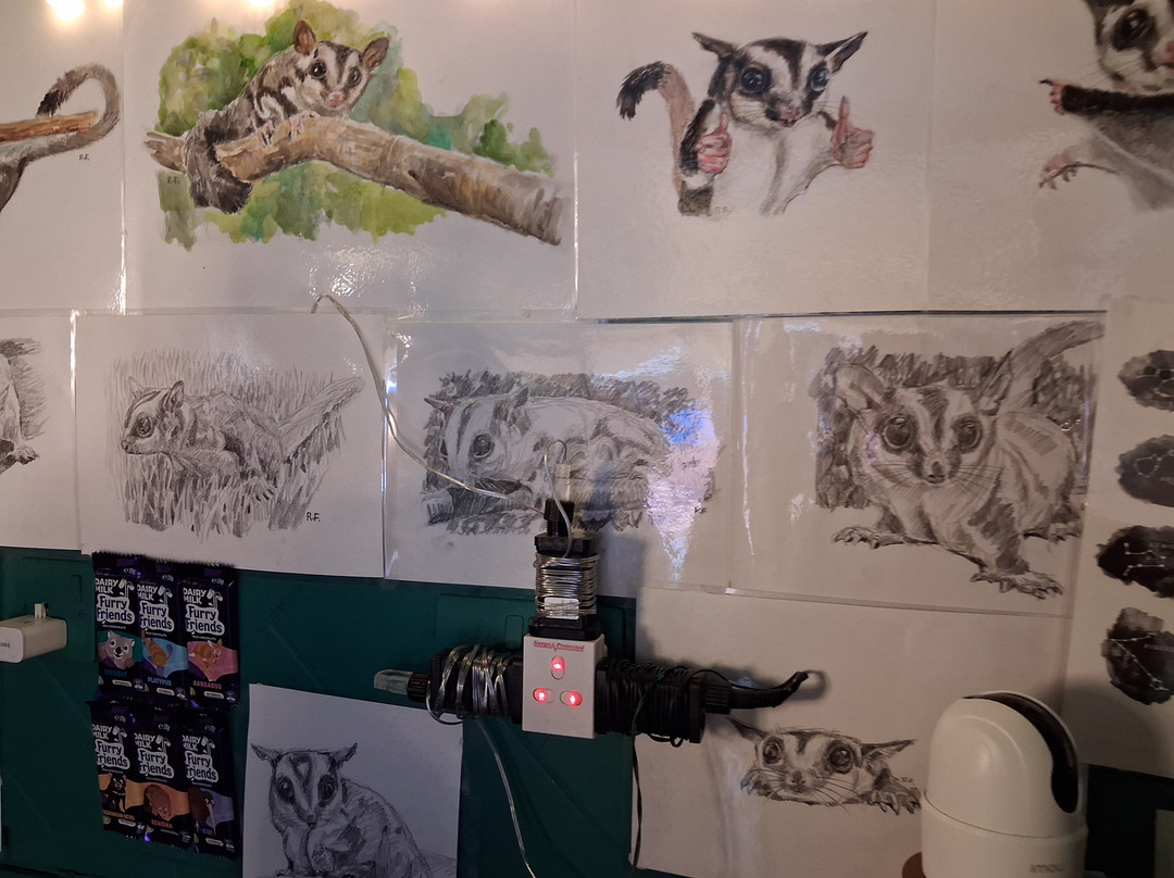 Cuddly Colony-布莱顿必去景点