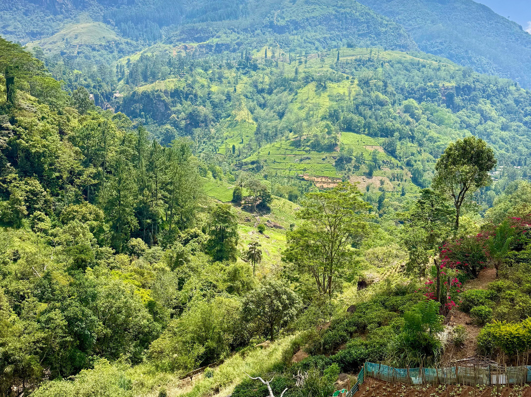 Sri Shannon Tours-尼甘布必去景点