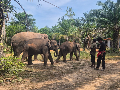 Following Giants - Krabi-Khlong Hin必去景点