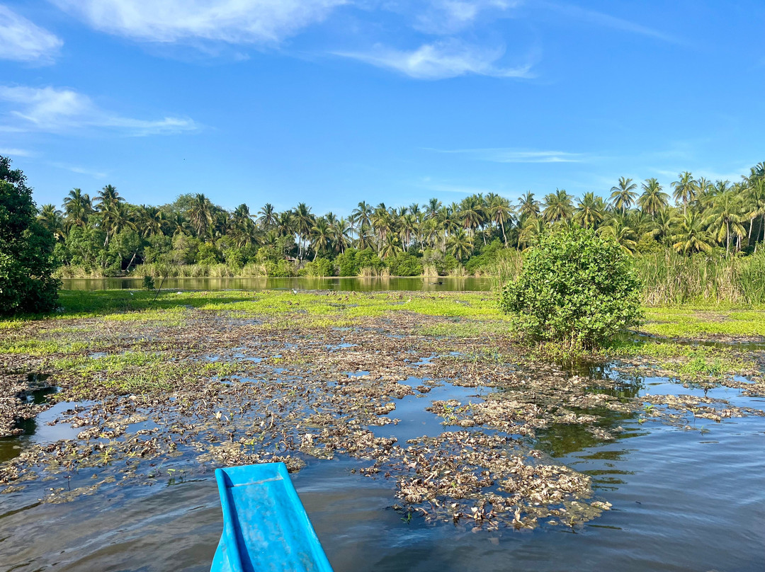 Kalametiya Eco Bird Watching-Kalametiya必去景点